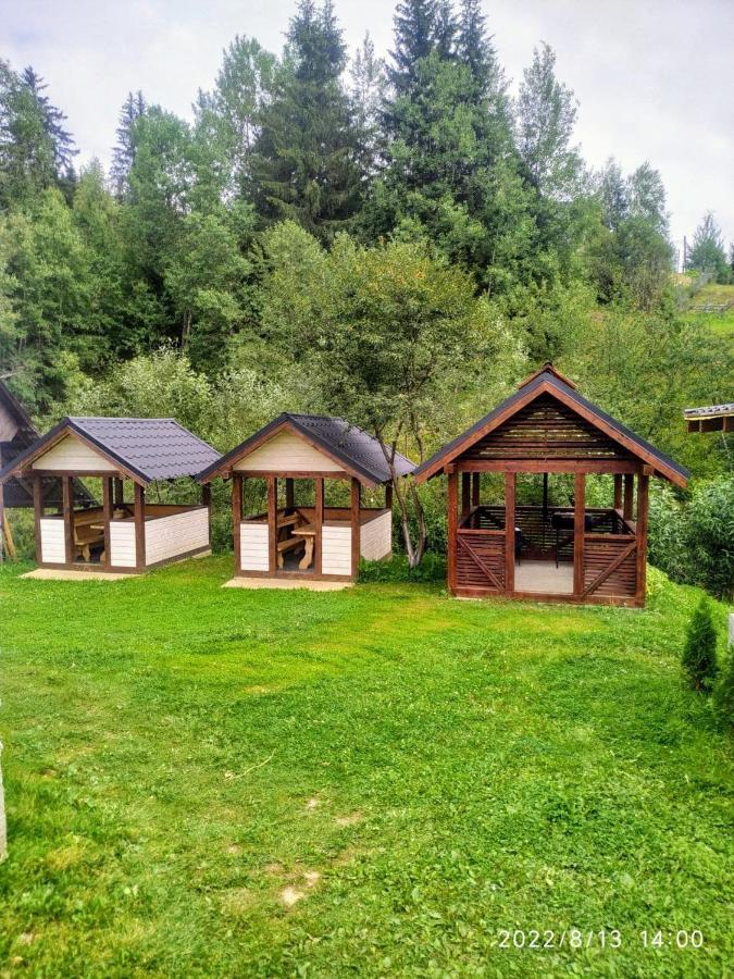 Відпочинковий Комплекс "Alpha Plus" Yablunytsya Exterior foto
