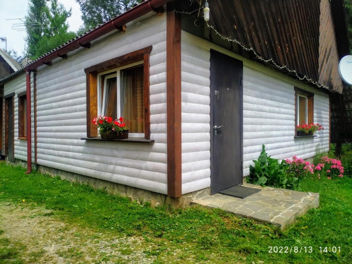 Відпочинковий Комплекс "Alpha Plus" Yablunytsya Exterior foto